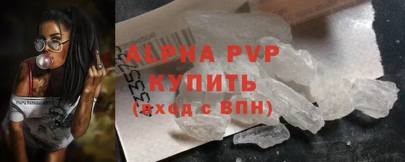 A PVP СК  Кадников 